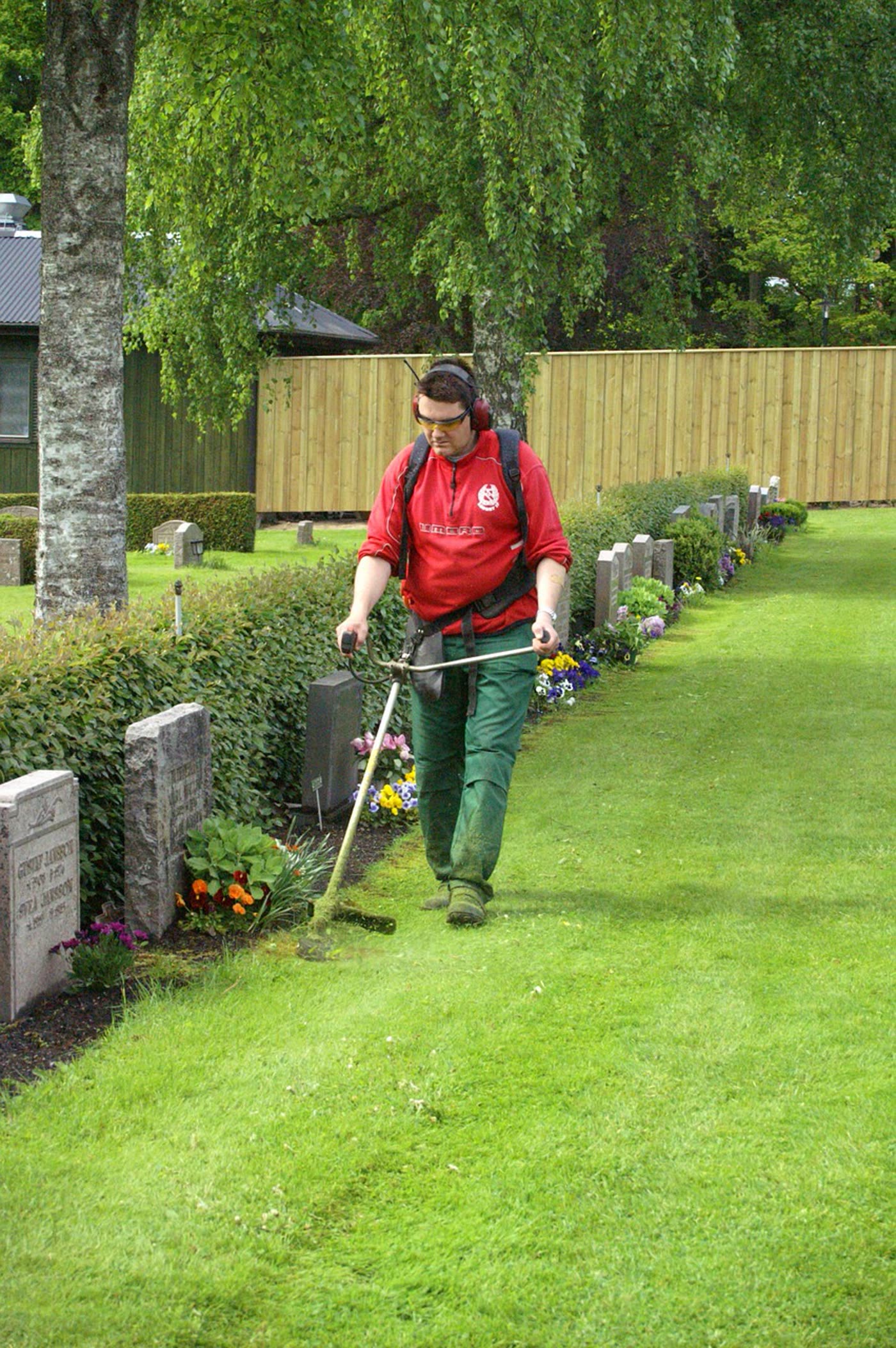 A groundskeeper trims the grass along a row of flat granite markers in a well-kept cemetery