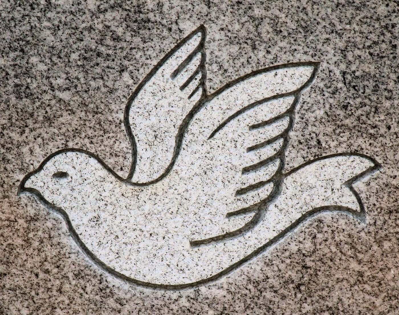 A dove carved into polished gray granite, a common memorial motif